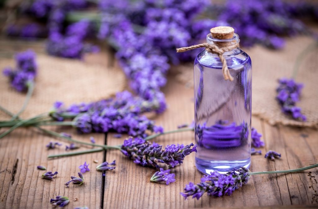 mui-nuoc-hoa-lavender