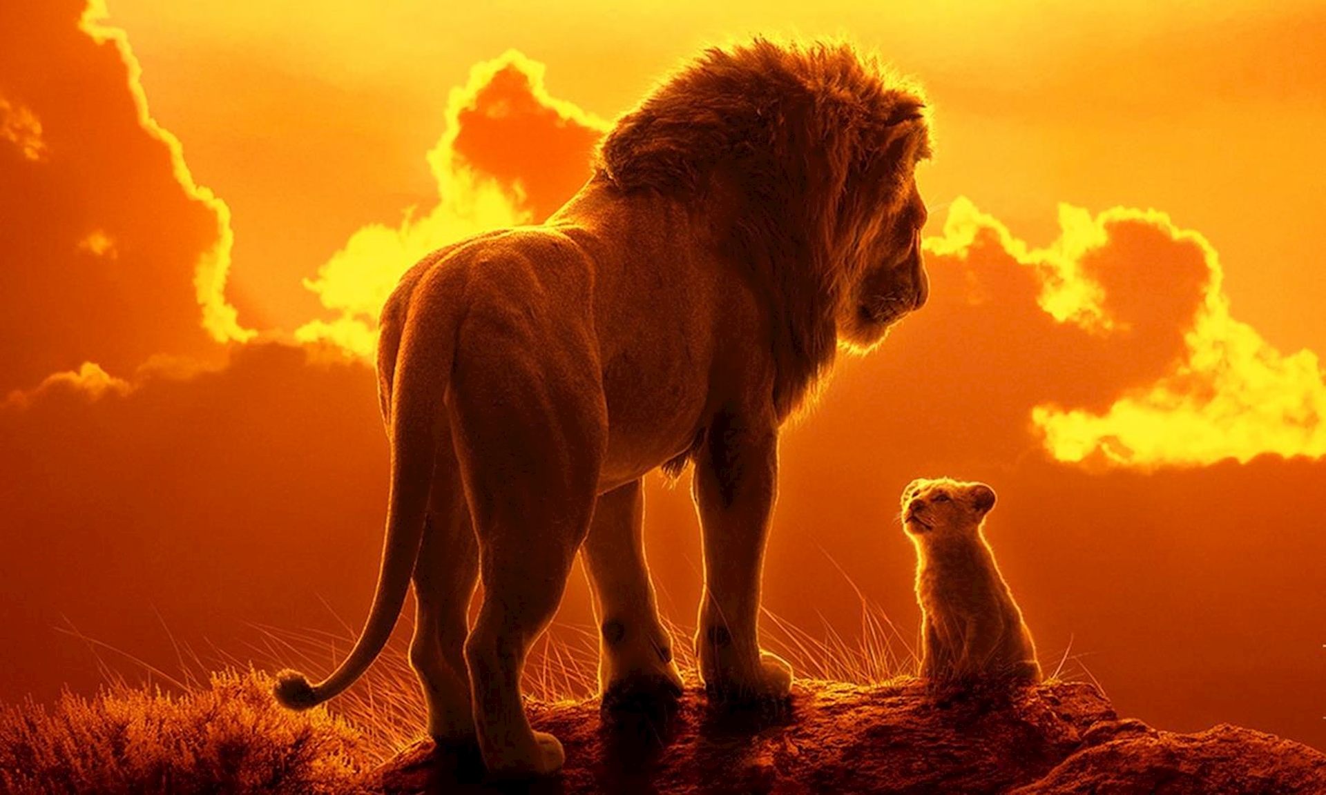 Siêu phẩm The Lion King phần 2 chuẩn bị cho ra mắt